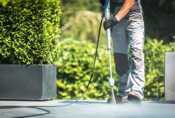 Best Roof Cleaning and Mildew Removal in Ignacio, CO